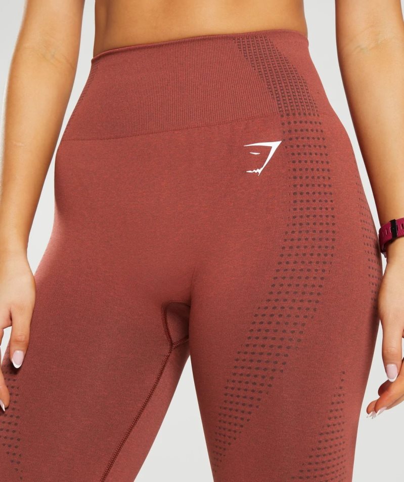 Women's Gymshark Vital Seamless 2.0 Leggings Brown | NZ 1PRXNC